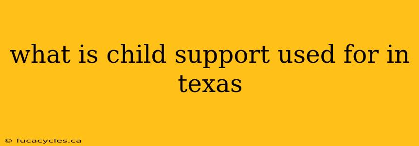 what is child support used for in texas