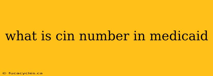 what is cin number in medicaid