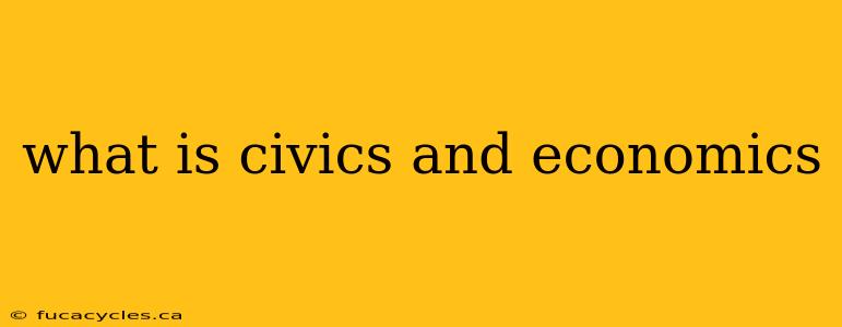 what is civics and economics