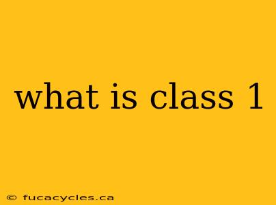 what is class 1