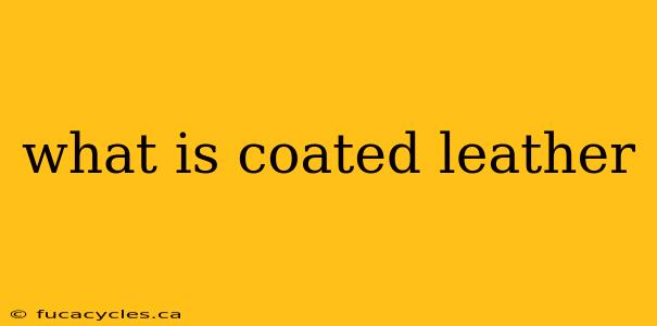 what is coated leather