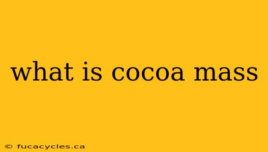 what is cocoa mass