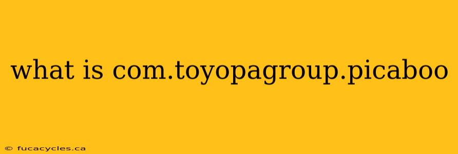 what is com.toyopagroup.picaboo