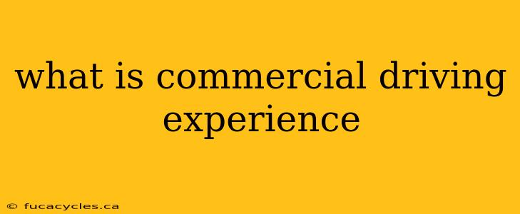 what is commercial driving experience