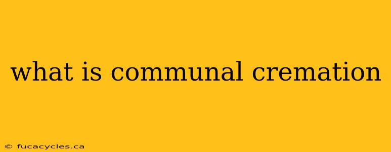 what is communal cremation