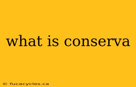 what is conserva