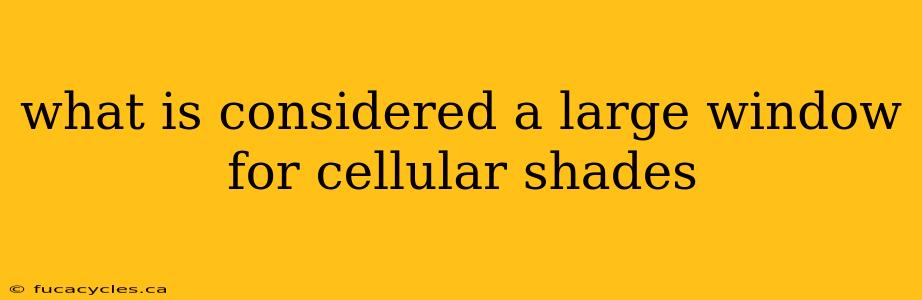 what is considered a large window for cellular shades