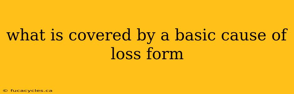 what is covered by a basic cause of loss form