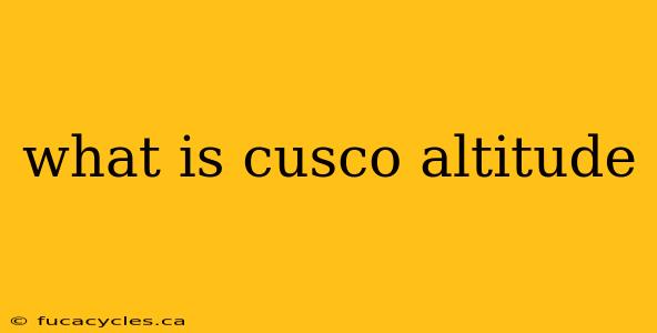 what is cusco altitude