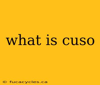 what is cuso