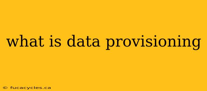 what is data provisioning