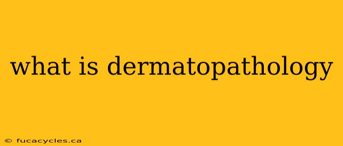 what is dermatopathology