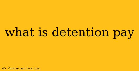 what is detention pay