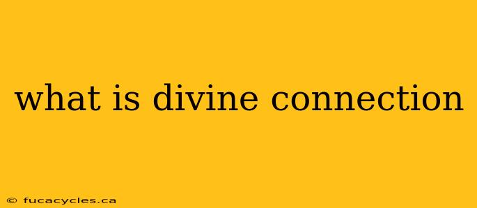 what is divine connection