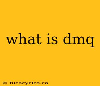 what is dmq