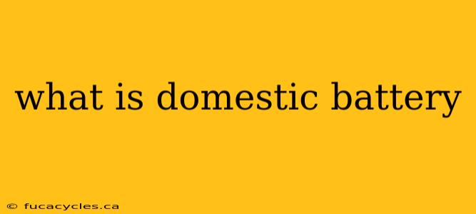 what is domestic battery