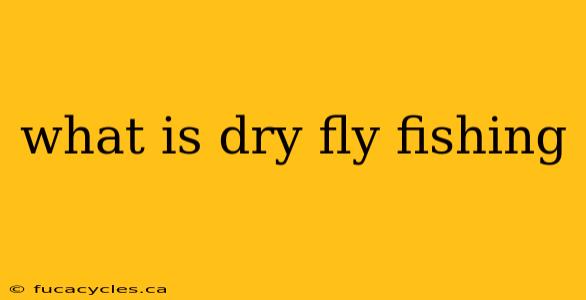 what is dry fly fishing