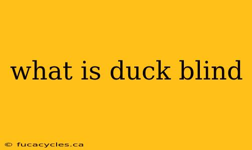 what is duck blind