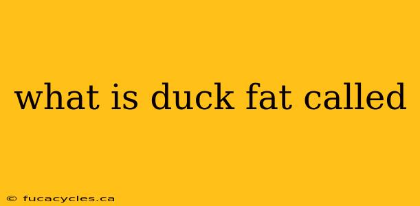 what is duck fat called