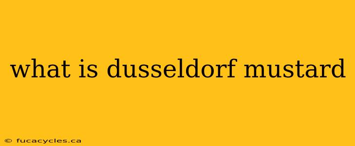 what is dusseldorf mustard