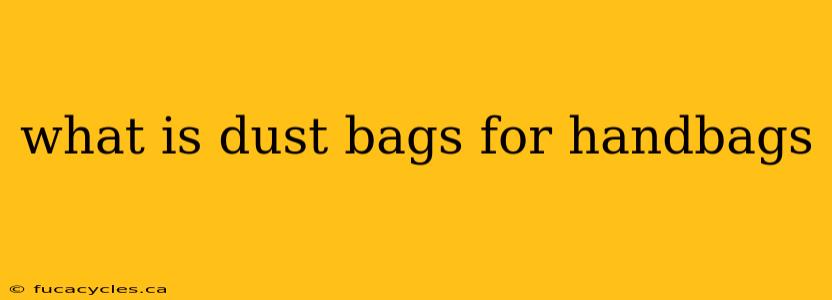 what is dust bags for handbags