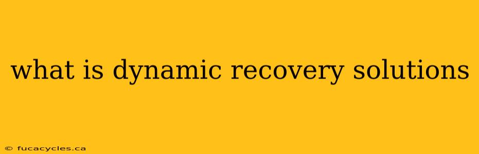 what is dynamic recovery solutions