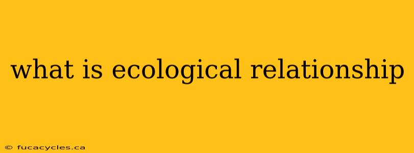 what is ecological relationship