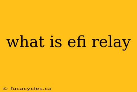 what is efi relay