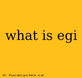 what is egi