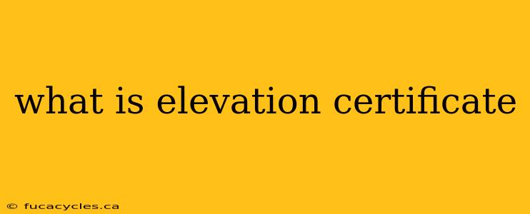 what is elevation certificate