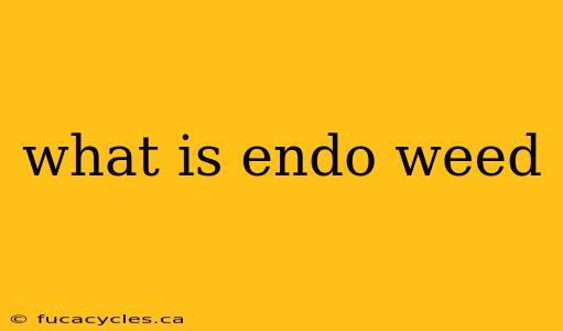 what is endo weed