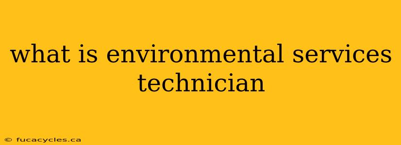 what is environmental services technician