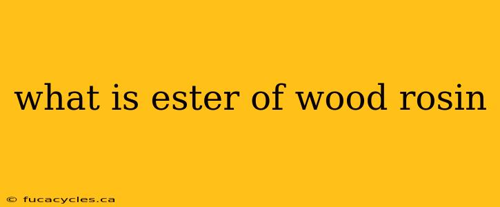 what is ester of wood rosin