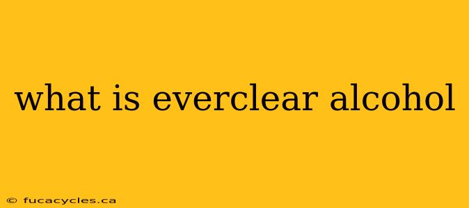 what is everclear alcohol