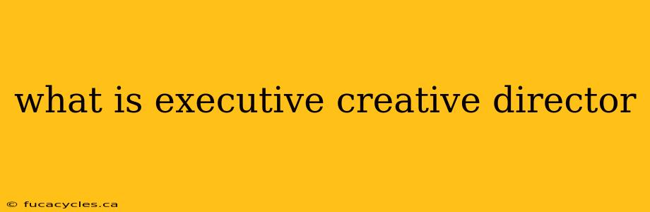 what is executive creative director