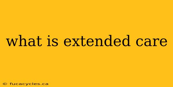 what is extended care