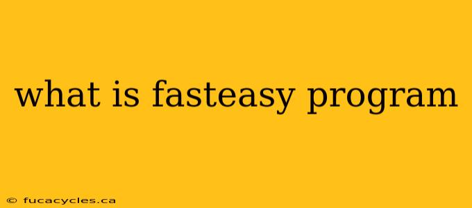 what is fasteasy program