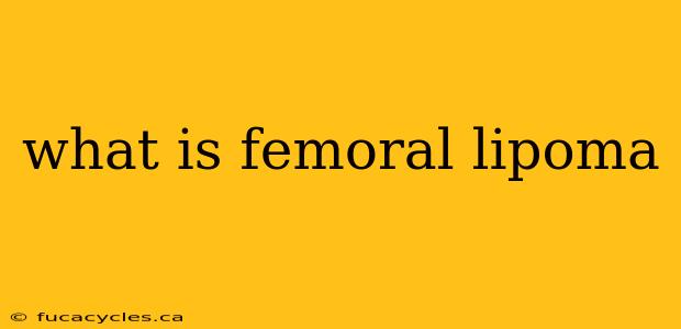 what is femoral lipoma