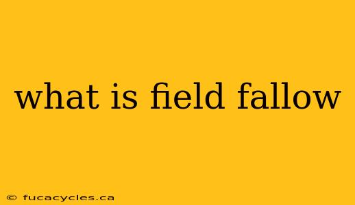 what is field fallow