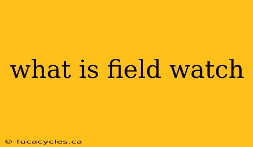 what is field watch