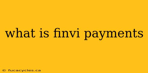 what is finvi payments