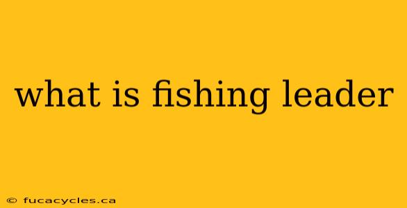 what is fishing leader