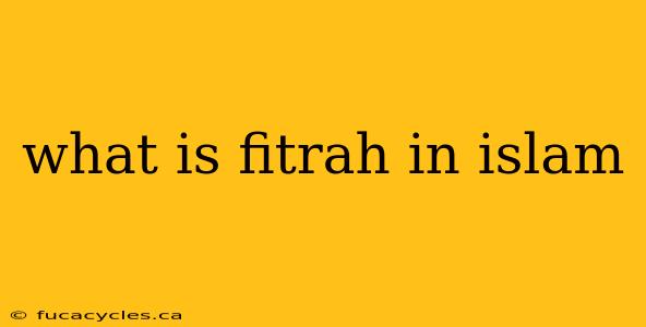 what is fitrah in islam