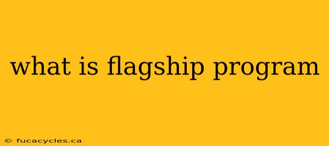 what is flagship program