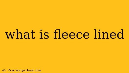 what is fleece lined