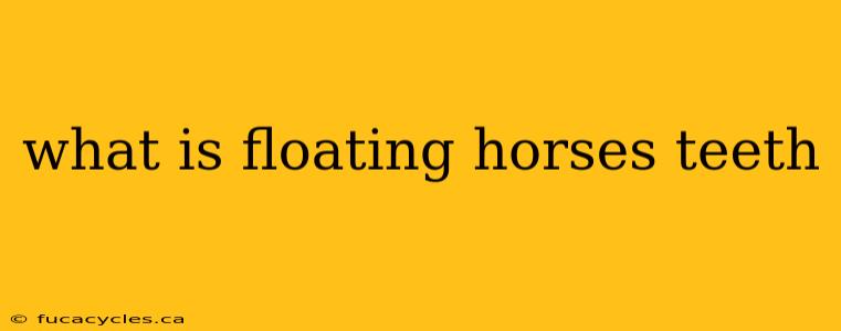 what is floating horses teeth