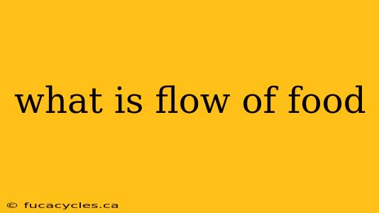 what is flow of food