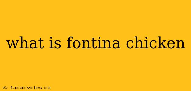 what is fontina chicken