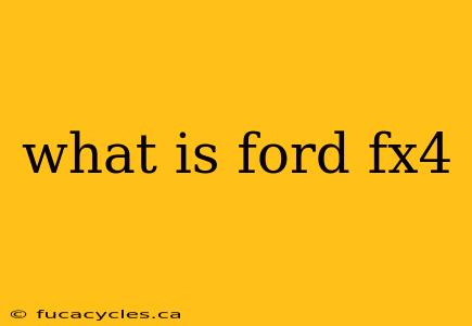 what is ford fx4