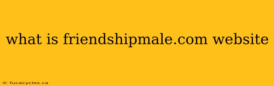 what is friendshipmale.com website